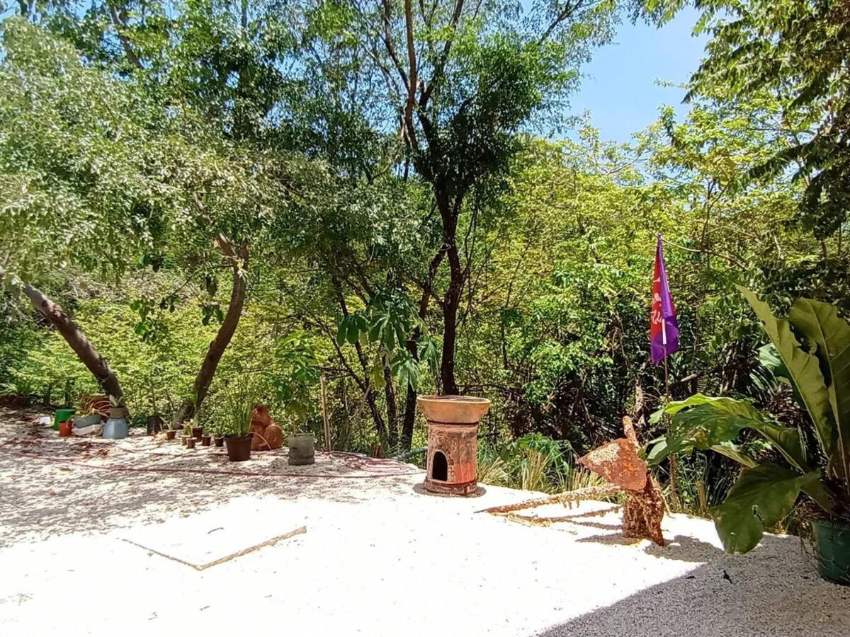Laurel Jungle & Ocean Villa Playa Santa Teresa  Exterior photo